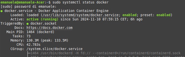 verifica stato servizio docker