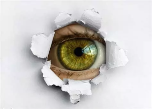 non abbiamo nulla da nascondere