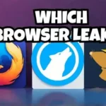 Which Browser Leaks Your Data?