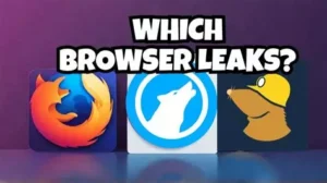 Which Browser Leaks Your Data?