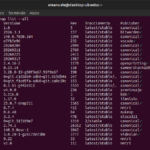 Snap su Ubuntu: come rimuovere tutte le versioni obsolete in un solo comando