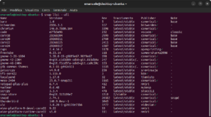 Snap su Ubuntu: come rimuovere tutte le versioni obsolete in un solo comando